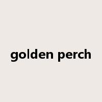 golden perch是什么意思