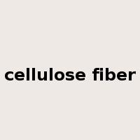 cellulose fiber是什么意思