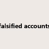 falsified accounts是什么意思