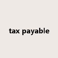 tax payable是什么意思