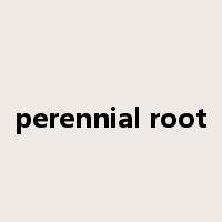 perennial root是什么意思