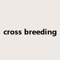 cross breeding是什么意思