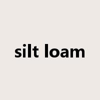silt loam是什么意思