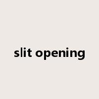 slit opening是什么意思