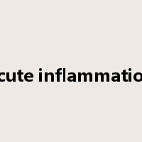 acute inflammation是什么意思