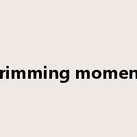 trimming moment是什么意思