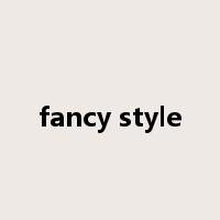 fancy style是什么意思