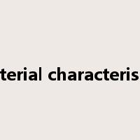 material characteristics是什么意思