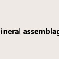 mineral assemblage是什么意思