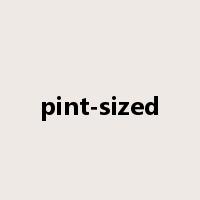 pint-sized是什么意思