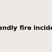 friendly fire incident是什么意思