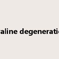 hyaline degeneration是什么意思