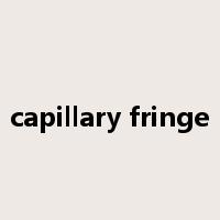 capillary fringe是什么意思