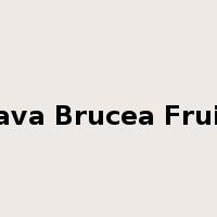 Java Brucea Fruit是什么意思