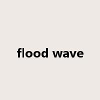 flood wave是什么意思