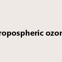 Tropospheric ozone是什么意思