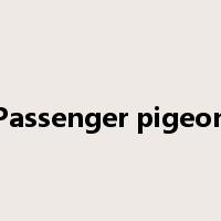 Passenger pigeon是什么意思