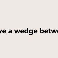 drive a wedge between是什么意思