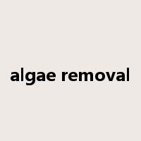 algae removal是什么意思