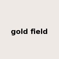 gold field是什么意思