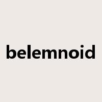 belemnoid是什么意思