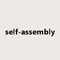self-assembly是什么意思