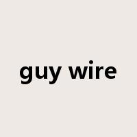 guy wire是什么意思