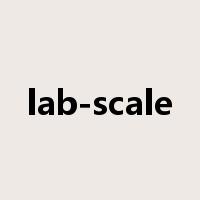 lab-scale是什么意思