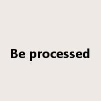Be processed是什么意思