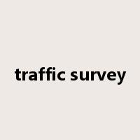 traffic survey是什么意思