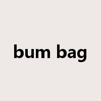 bum bag是什么意思