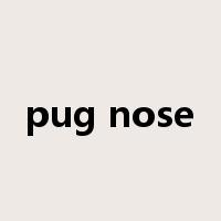 pug nose是什么意思