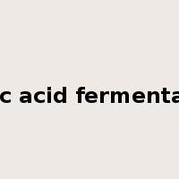 lactic acid fermentation是什么意思