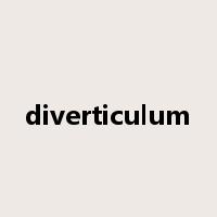 diverticulum是什么意思
