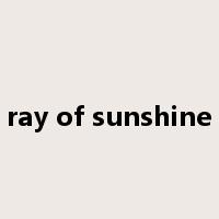 ray of sunshine是什么意思