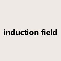 induction field是什么意思