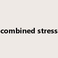 combined stress是什么意思