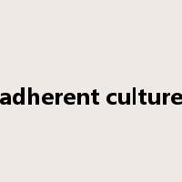 adherent culture是什么意思