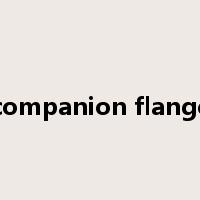 companion flange是什么意思