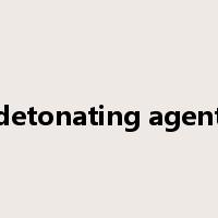 detonating agent是什么意思