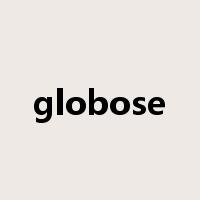 globose是什么意思