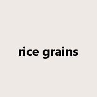 rice grains是什么意思