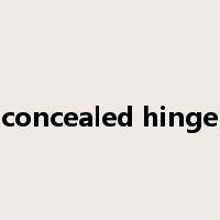 concealed hinge是什么意思