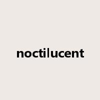 noctilucent是什么意思