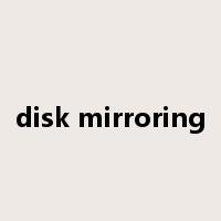 disk mirroring是什么意思