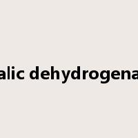 malic dehydrogenase是什么意思