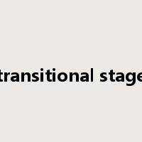 transitional stage是什么意思