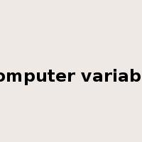 computer variable是什么意思