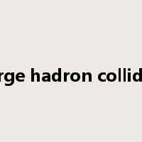 large hadron collider是什么意思