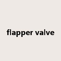 flapper valve是什么意思